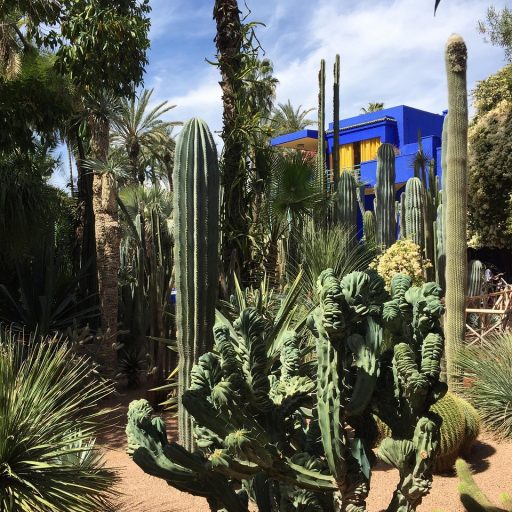 Majorelle Garden