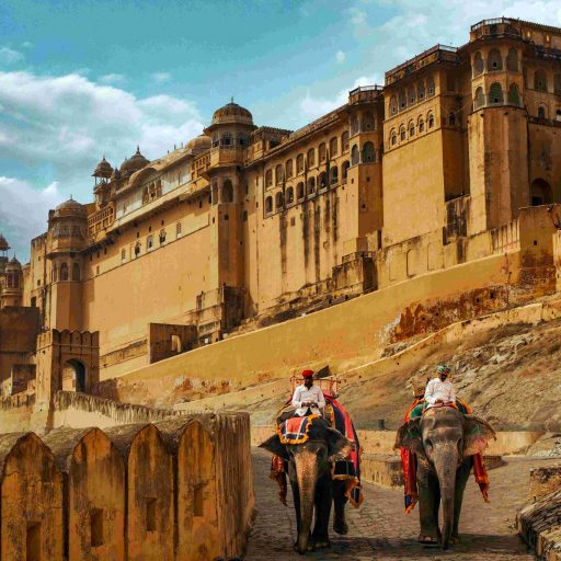 Le Fort d'Amber avec montée à dos d'éléphant au Jaipur
