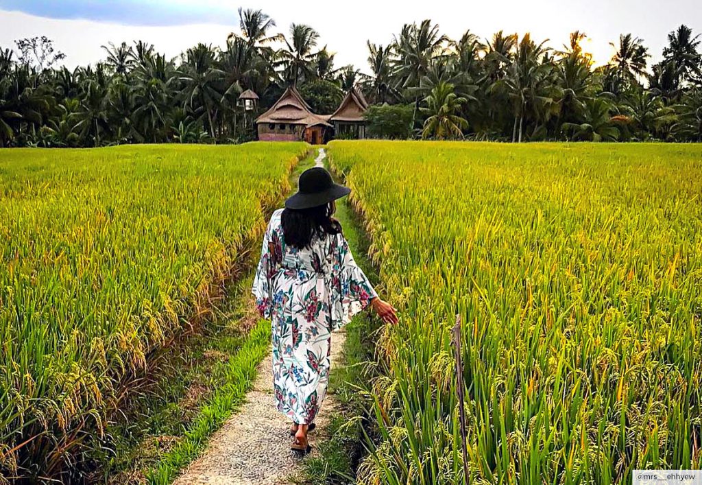 Une randonnée, durant laquelle vous traverserez de minuscules villages traditionnels perdus dans des entrelacs de rizières