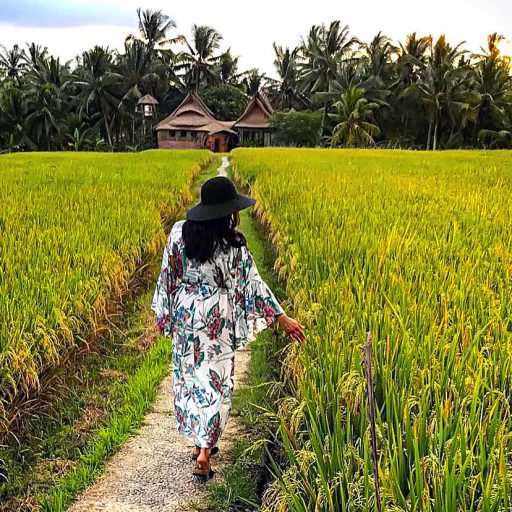 Une randonnée, durant laquelle vous traverserez de minuscules villages traditionnels perdus dans des entrelacs de rizières