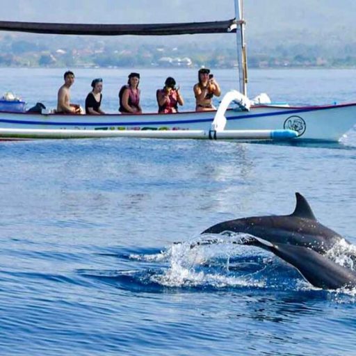 Des dauphins au large de Lovina