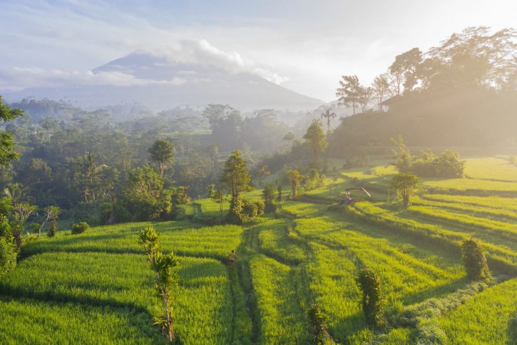 Découverte de la vie balinaise, Sidemen est un village pittoresque entouré de rizières, offrant une atmosphère paisible et authentique au cœur de Bali