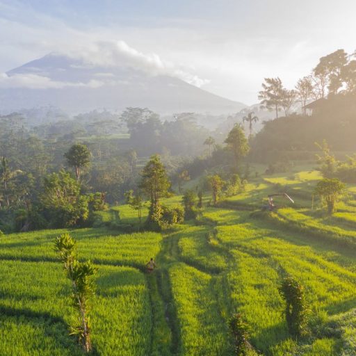 Découverte de la vie balinaise, Sidemen est un village pittoresque entouré de rizières, offrant une atmosphère paisible et authentique au cœur de Bali