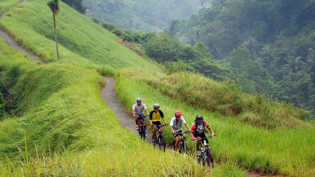 Faire due vélo entre villages, rizières, plantations et temples à Kintamani
