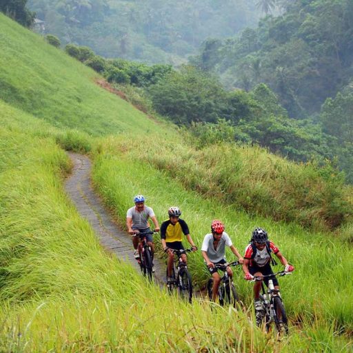 Faire due vélo entre villages, rizières, plantations et temples à Kintamani