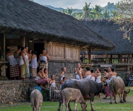 Le village traditionnel de Tenganan