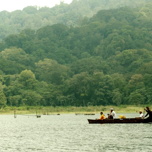 La forêt de Tamblingan