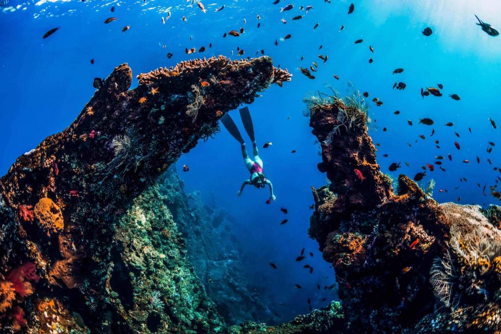 Snorkling ou plongée à Amed