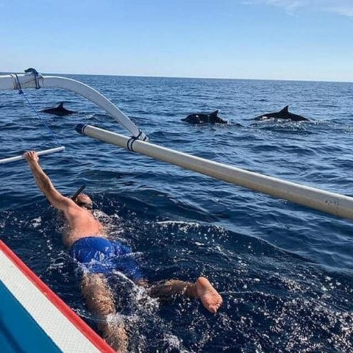 Snorkling avec des dauphins à Lovina
