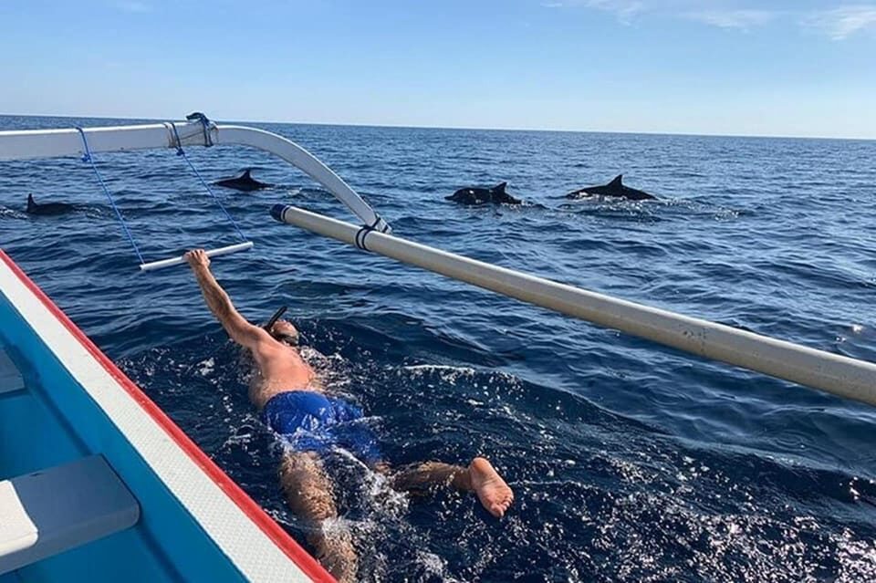 Snorkling avec des dauphins à Lovina