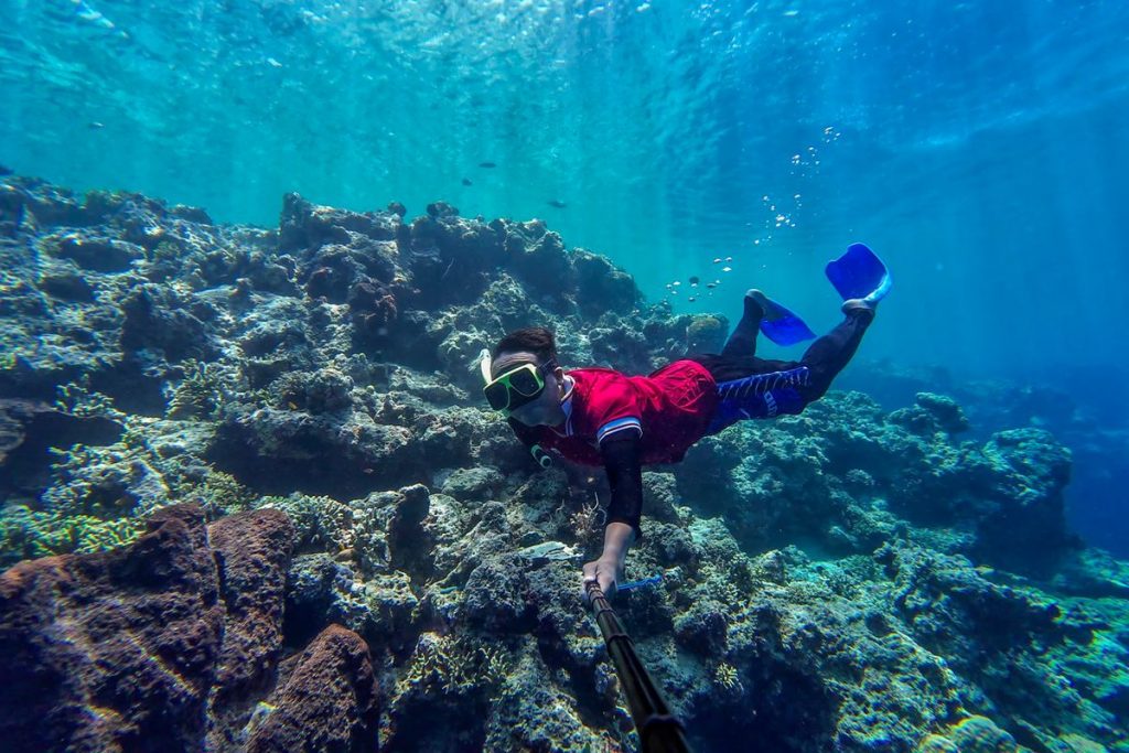 Snorkeling ou de plongée à Menjangan