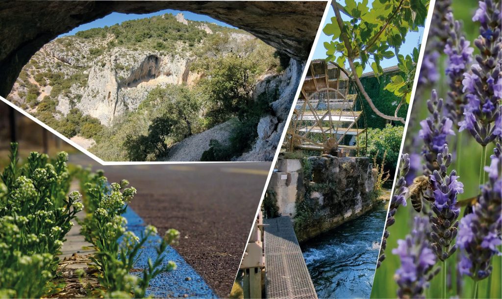 Expédition VauCluso 3 jours – randonnée, kayak et formation secourisme