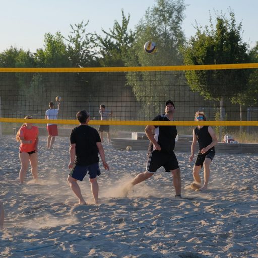 une activité de volley-ball