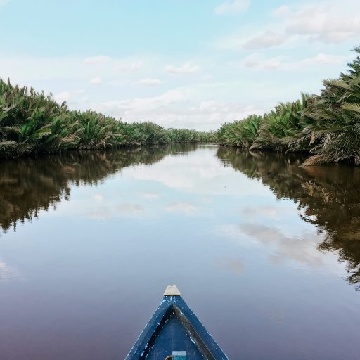 Circuit classique en klotok/bateau - 3 jours d'exploration