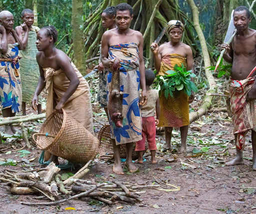 Expédition photographique de Yaoundé à Libreville