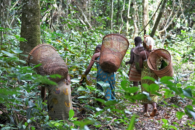 Expédition photographique de Yaoundé à Libreville