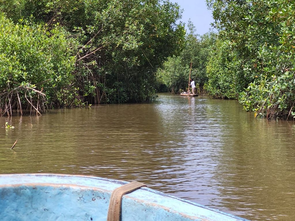 Circuit découverte du Bénin