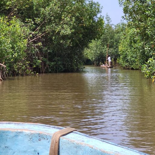 Circuit découverte du Bénin